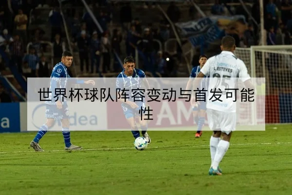世界杯球队阵容变动与首发可能性